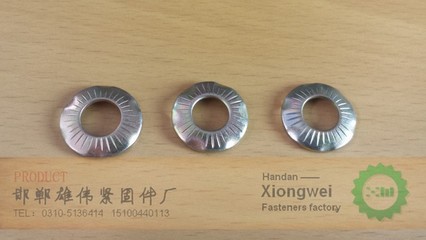 【接地垫 接地垫圈】价格,厂家,图片,其他紧固件、连接件,永年县东滩头雄伟紧固件厂-